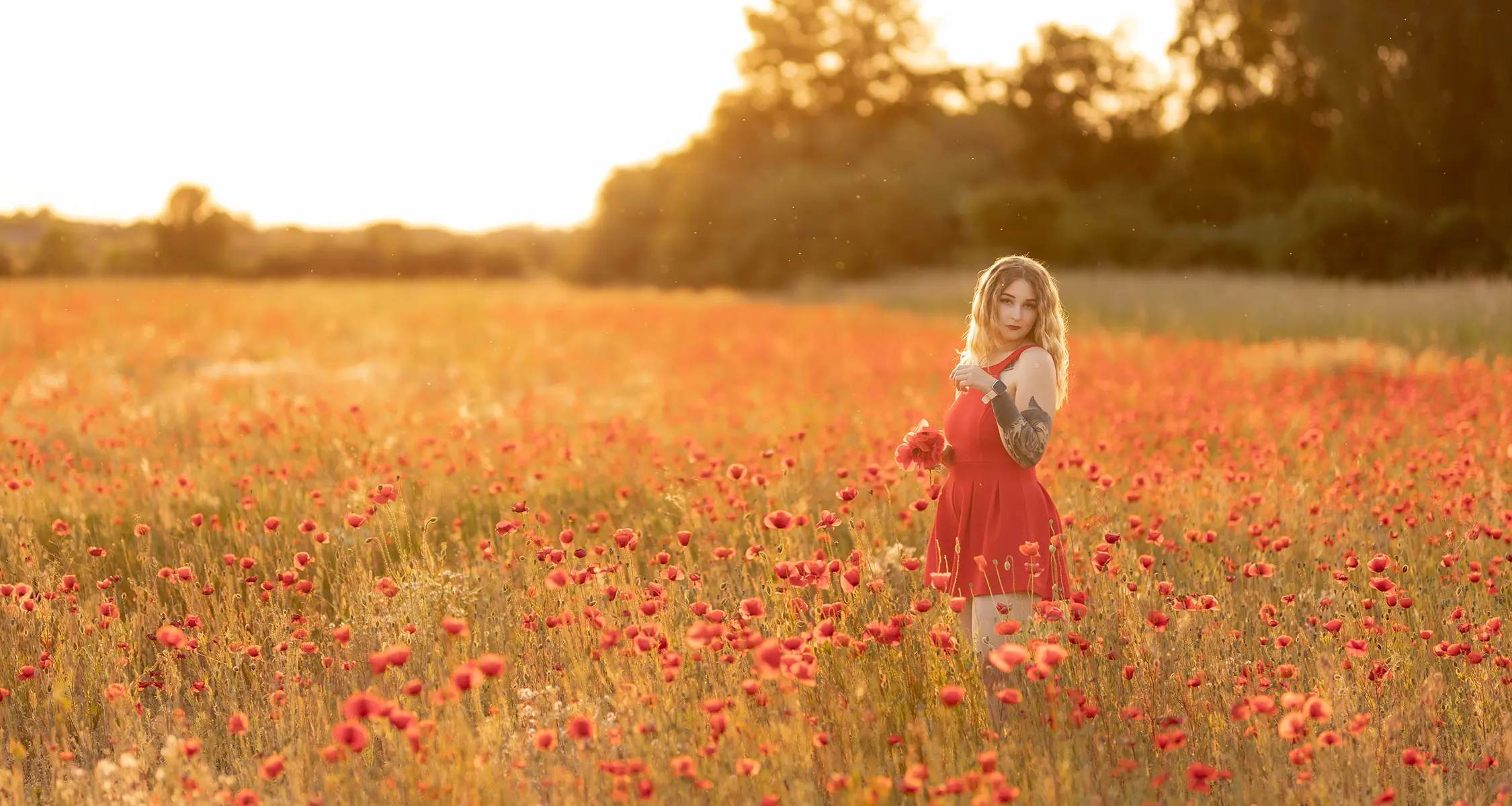 Michelle steht bei Sonnenuntergang in einem roten Kleid im Mohnfeld bei Stendal